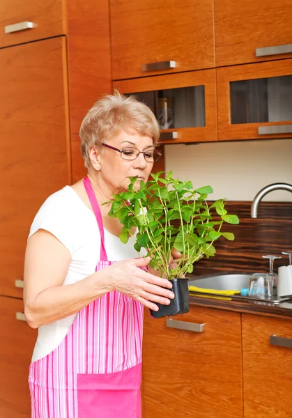 Old woman smelling her mint plant at home in the kitchen — Stock Photo, Image