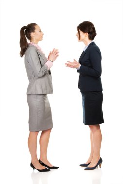 İki kızgın businesswomans.