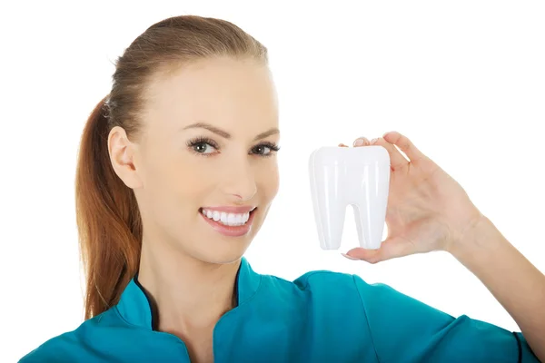 Dentista feminina segurando um modelo de dente . — Fotografia de Stock