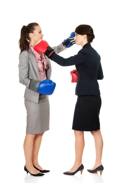 Dos mujeres de negocios con guantes de boxeo luchando . — Foto de Stock