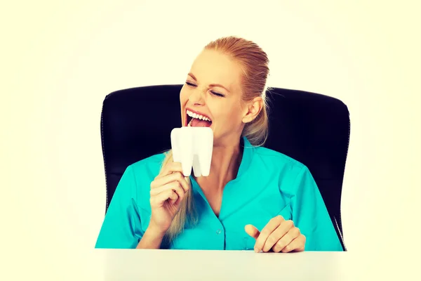 Hauska naispuolinen hammaslääkäri istuu takana pöydän ja tilalla ylisuuret hammas malli — kuvapankkivalokuva