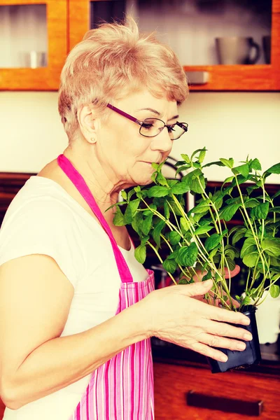 Old woman smelling her mint plant at home in the kitchen — Stock Photo, Image