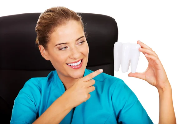 Female dentist holding tooth model and sitting behind the desk — Stock Photo, Image