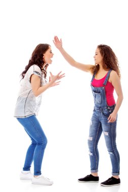 Kavga eden ve çığlık atan iki öfkeli kadın.