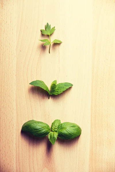 Hojas de menta y albahaca sobre fondo de madera —  Fotos de Stock