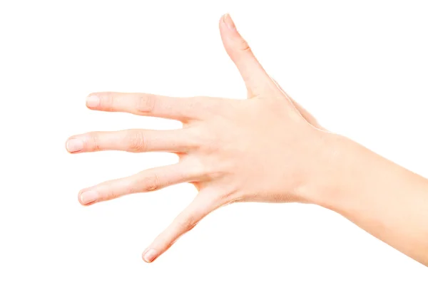 Mano de mujer mostrando cinco dedos, aislada sobre fondo blanco . — Foto de Stock
