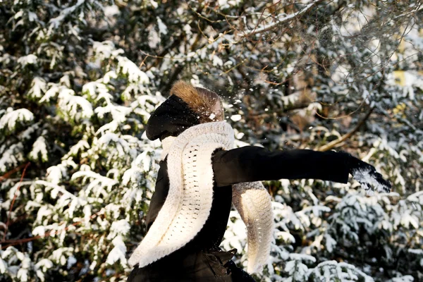 Young woman throwing snowball — Stok fotoğraf