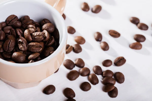 베이지색 컵에 커피 씨앗 — 스톡 사진