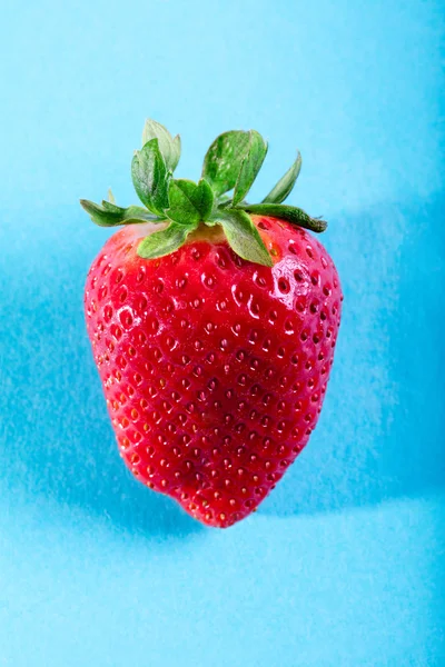 Une fraise juteuse sur fond bleu — Photo
