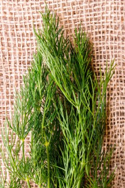 Jüt çanta üzerinde taze yeşil dereotu