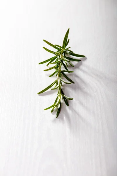 Fresh green rosemary on grey board — Stock Photo, Image