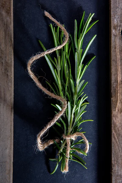 Frischer grüner Rosmarin auf Kreide — Stockfoto