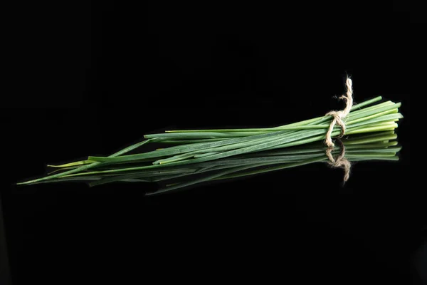 검은 배경에 신선한 녹색 향신료 — 스톡 사진