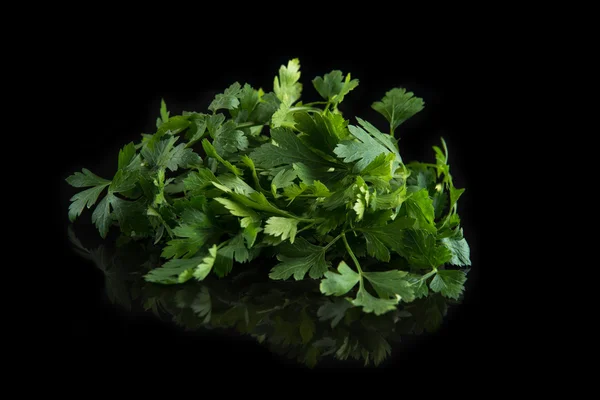 Salsa verde fresca sobre fundo preto — Fotografia de Stock