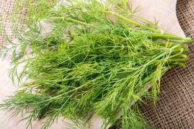 Jüt çanta üzerinde ahşap kesme tahtası üzerinde taze yeşil dereotu