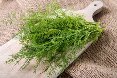 Fresh green dill on wooden cutting board on jute bag clipart