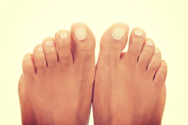 Toes close up — Stock Photo, Image