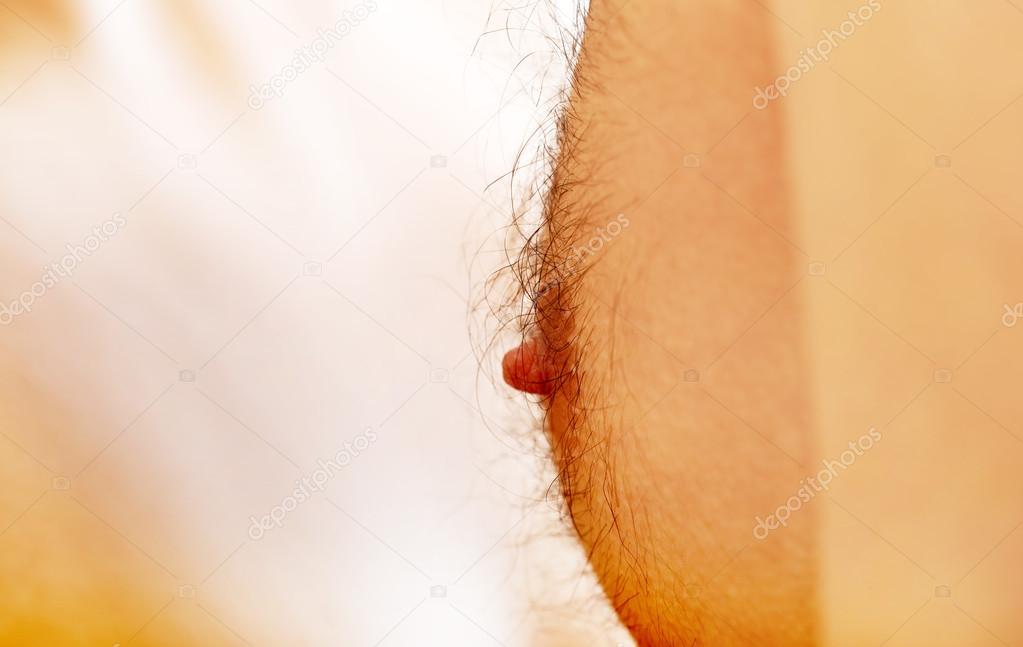 Male nipple on the chest.