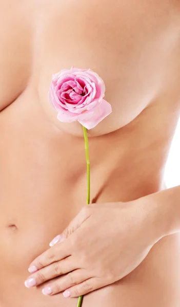 Cuerpo femenino perfecto witg rosa rosa . — Foto de Stock