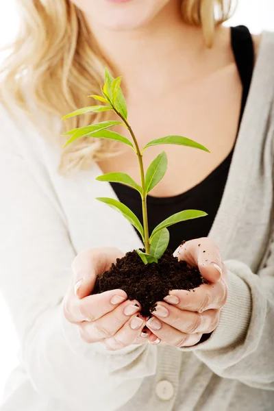 Frau mit Pflanze und Schmutz in der Hand — Stockfoto