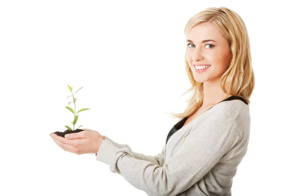 Mujer con planta y suciedad en la mano —  Fotos de Stock