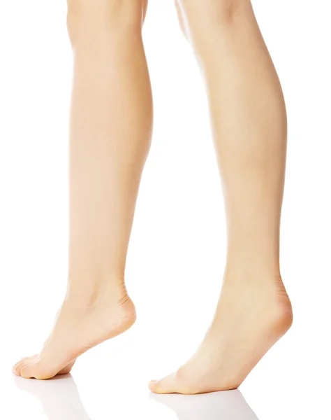 Perfect female legs — Stock Photo, Image