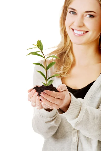 Mulher com planta e sujeira na mão — Fotografia de Stock