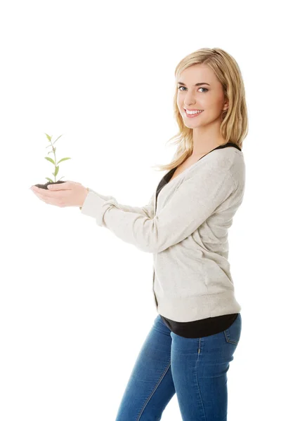 Женщина с растением и грязью в руке — стоковое фото