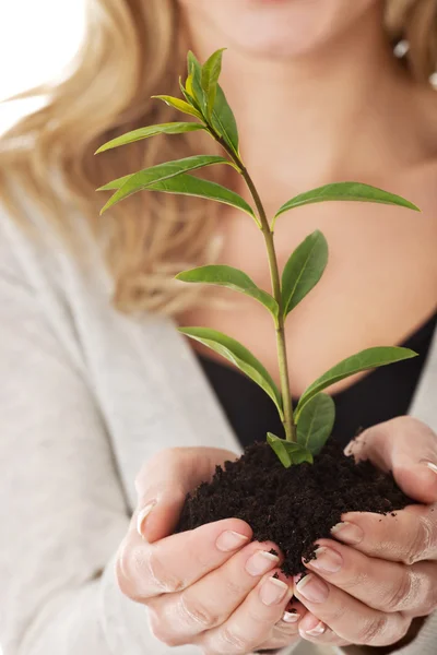 Mulher com planta e sujeira na mão — Fotografia de Stock