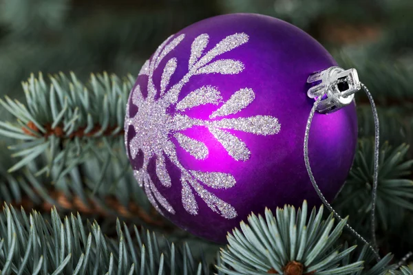 木の上の 1 つのクリスマス ボール. — ストック写真