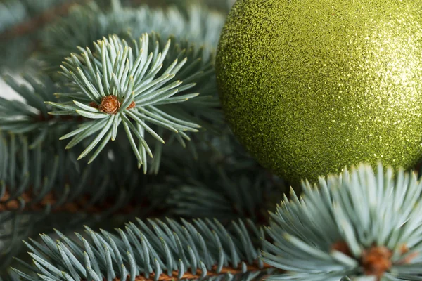 Één Kerstmis bal op een boom. — Stockfoto