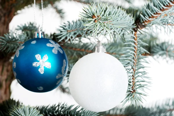 Two christmas balls on a twig. Stock Image