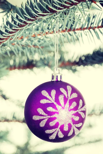 圣诞球挂上一根小树枝 — 图库照片