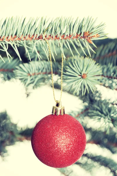 Bola de Natal entregando um galho — Fotografia de Stock