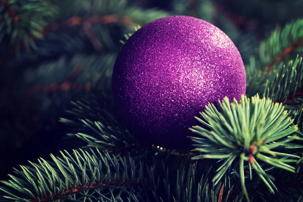 One christmas ball over tree. — Stock Photo, Image