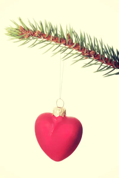 Christmas ball handing on a twig — Stock Photo, Image