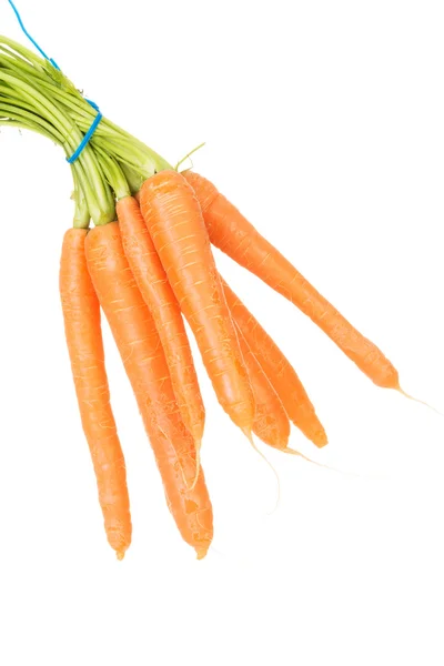 Close up on healthy carrots — Stock Photo, Image