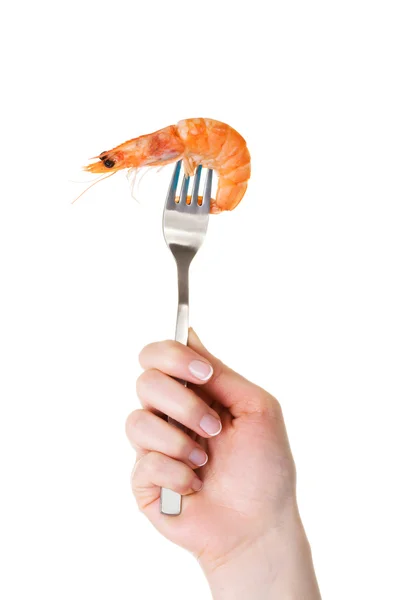 Shrimp linguine on a fork — Stock Photo, Image