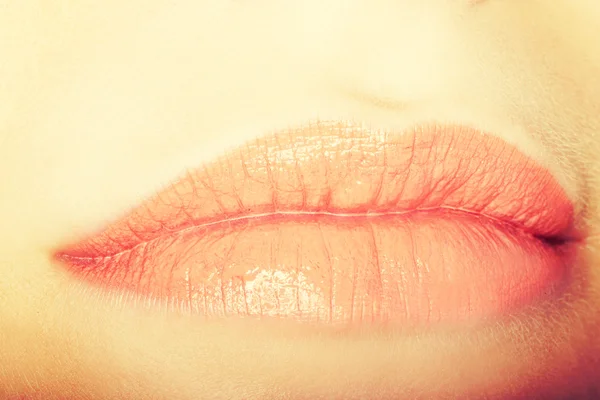 Womans peachy lips. Closeup. — Stock Photo, Image