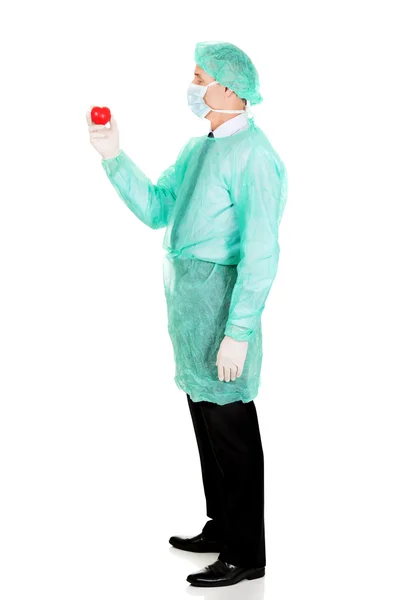Tam uzunlukta bir erkek doktor kalp modeli holding — Stok fotoğraf
