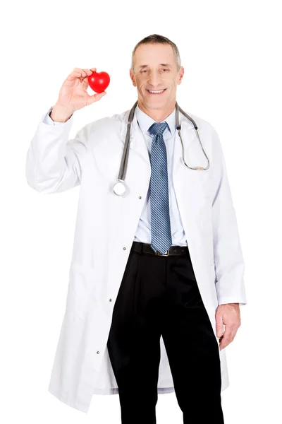 Mature male doctor holding heart model — Stock Photo, Image