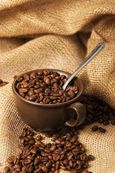 Granos de café en una taza con cuchara — Foto de Stock