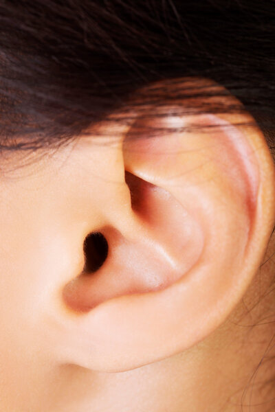 Женское ухо
