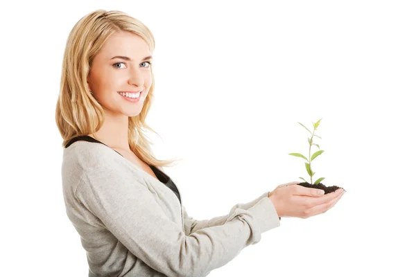 Mujer con planta y suciedad en la mano —  Fotos de Stock