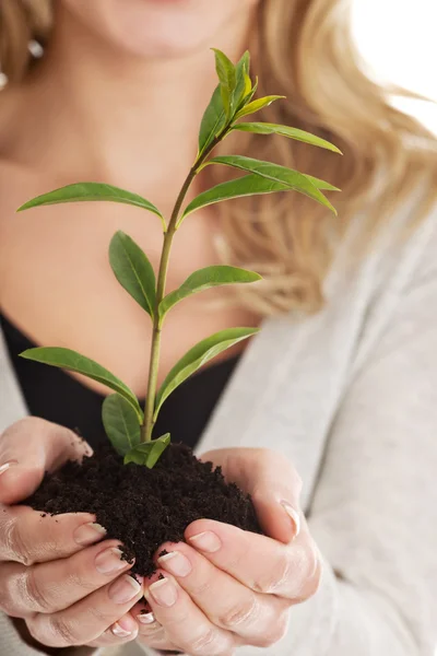 Frau mit Pflanze und Schmutz in der Hand — Stockfoto