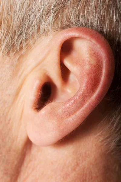 Oreja masculina — Foto de Stock