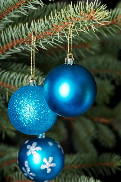 Drei Weihnachtskugeln auf einem Baum. — Stockfoto