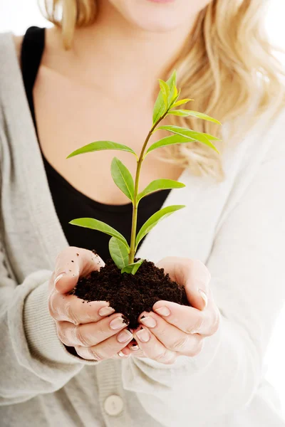 Frau mit Pflanze und Schmutz in der Hand — Stockfoto