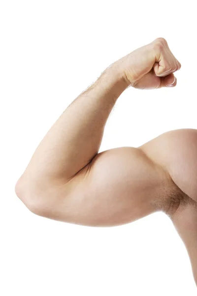 Muscle mans hand. Royalty Free Stock Photos