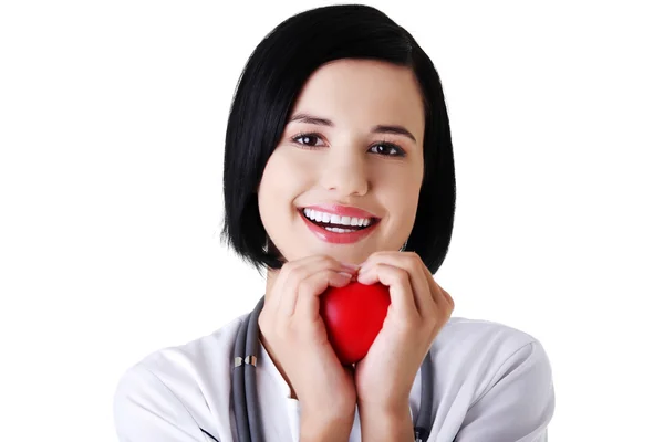 Arts houden hart model — Stockfoto